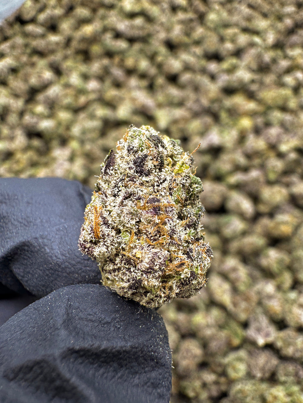 Hash Burger