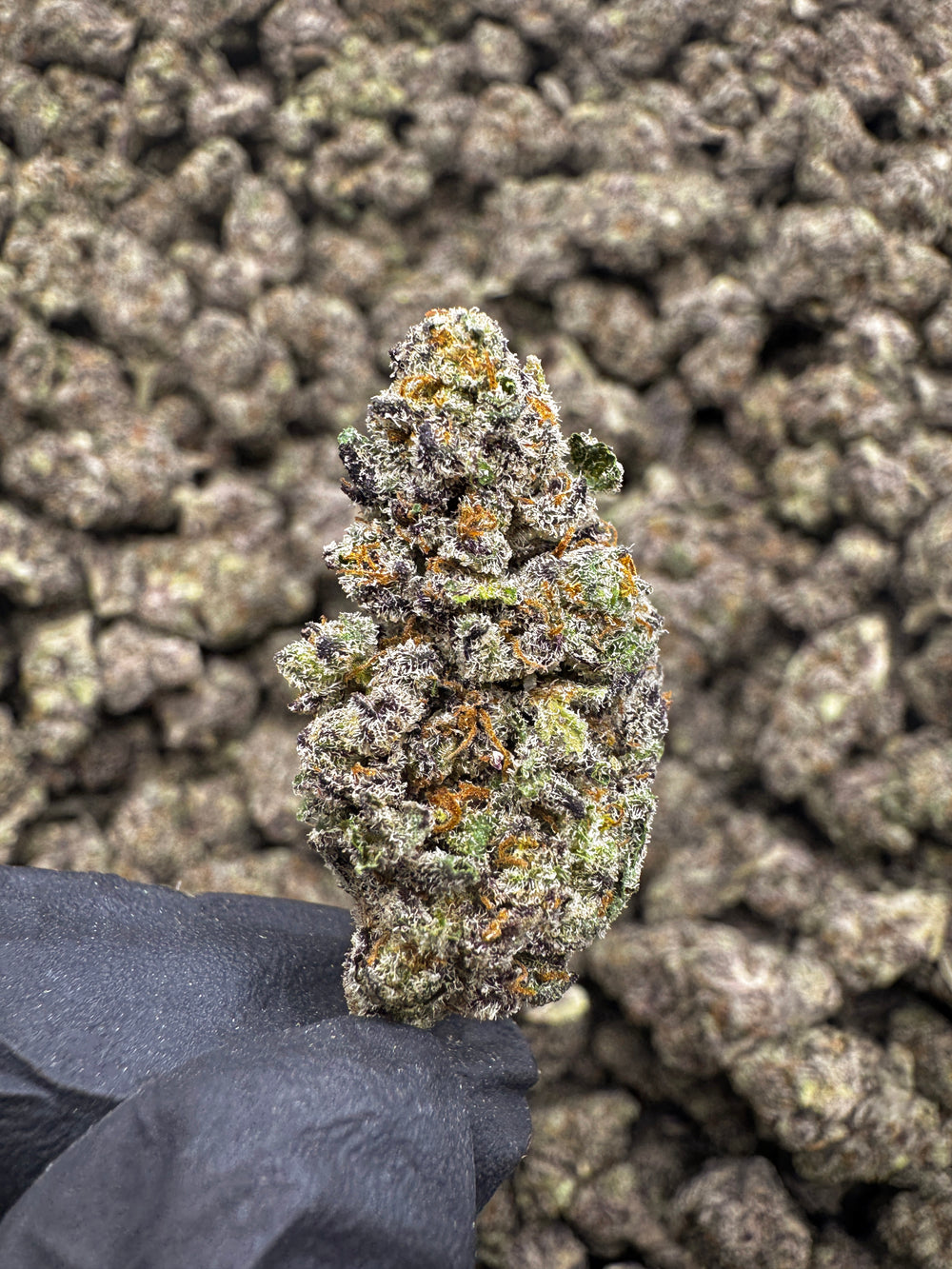 ATX OG