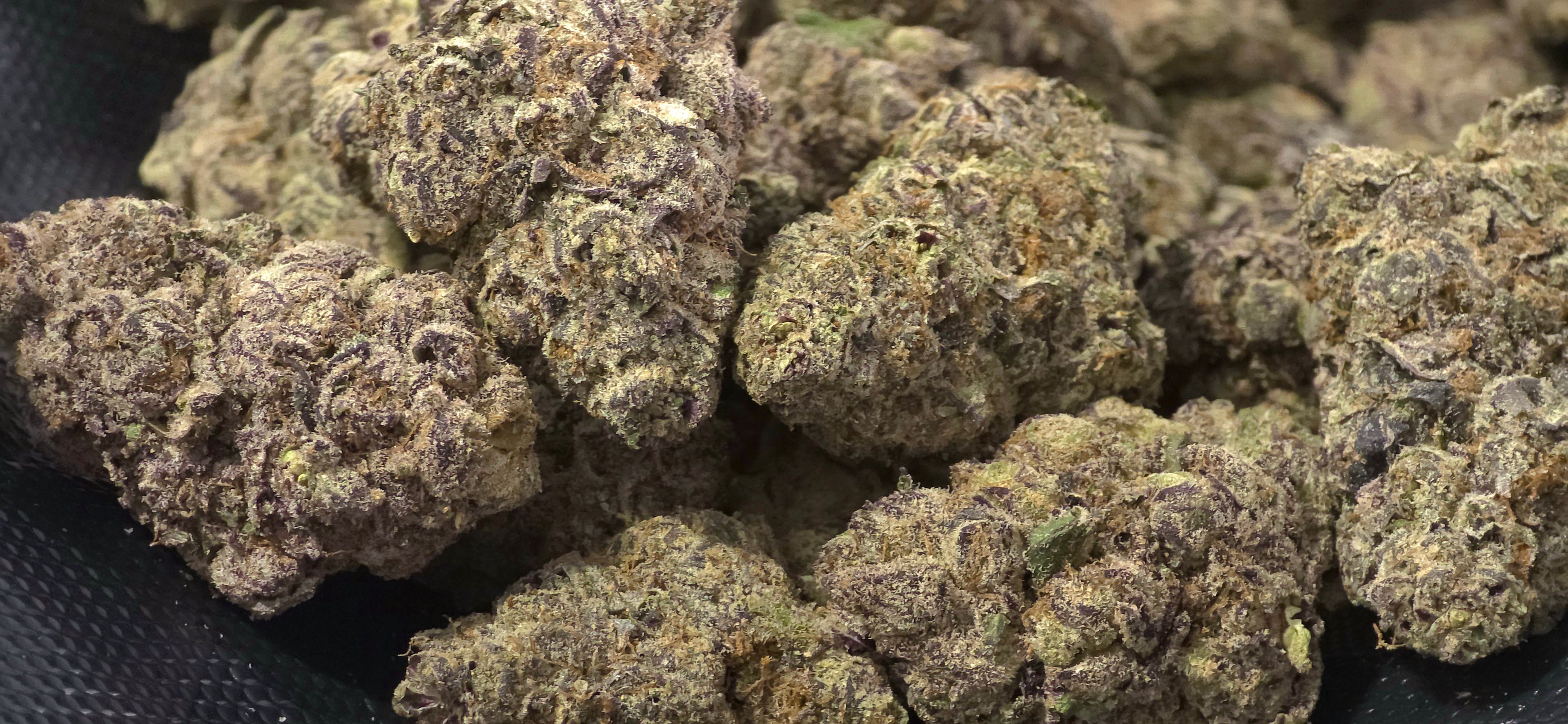 THCa Flower – Indoor Exotic | 14g | 30%+ Purity - $49 - $99