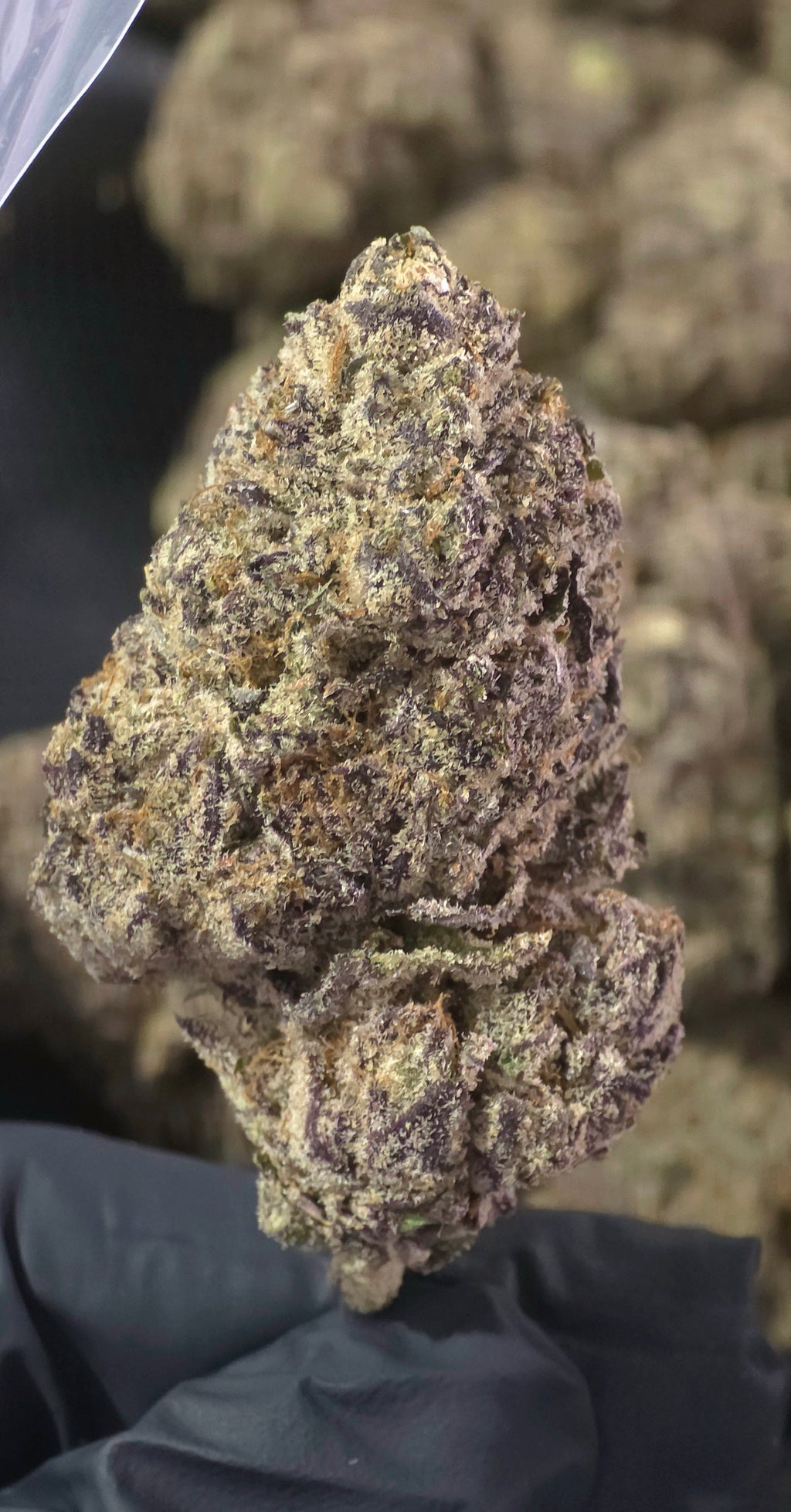 THCa Flower – Indoor Exotic | 14g | 30%+ Purity - $49 - $99