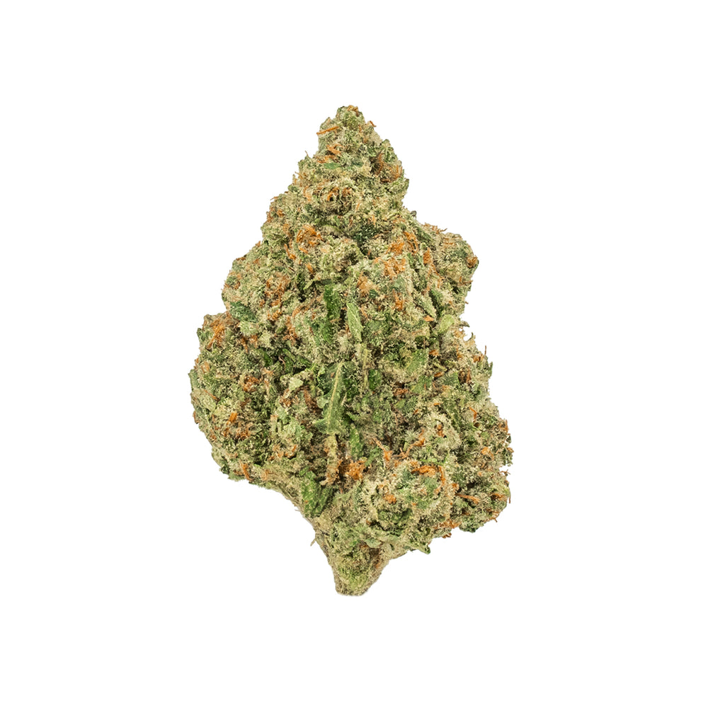 Chocolope