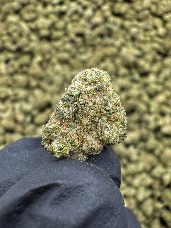 Frosted Flakes