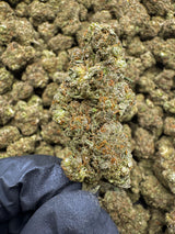 Golden Gas
