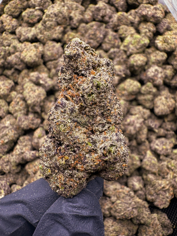 Grand Daddy Grape