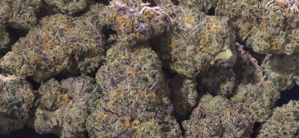 THCa Flower – Indoor Exotic | 14g | 30%+ Purity - $49 - $99