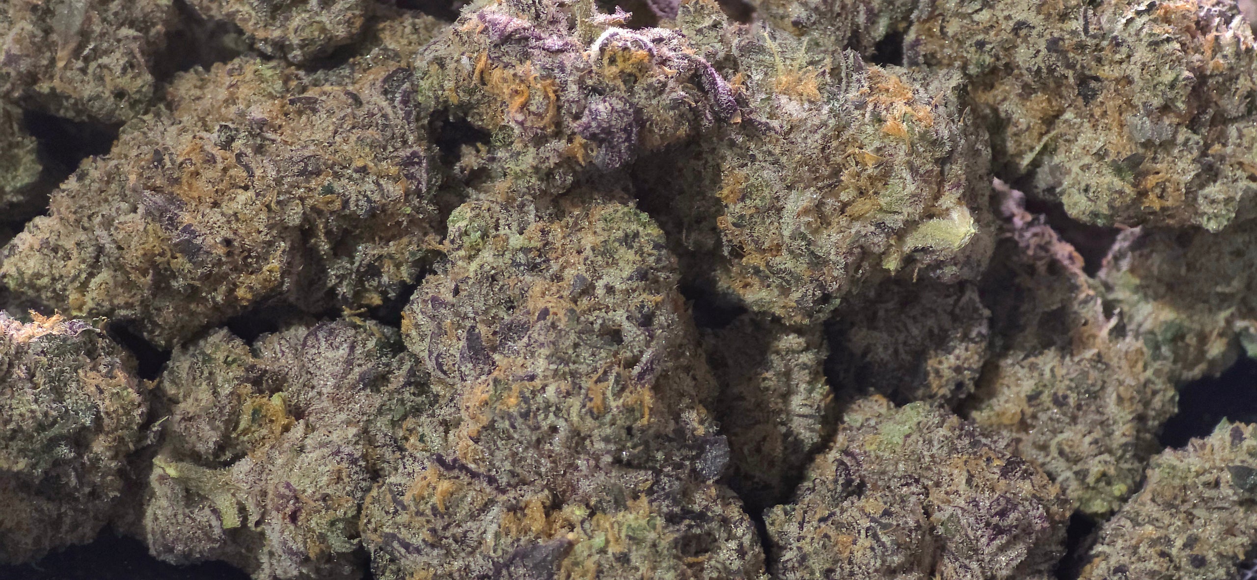 THCa Flower – Indoor Exotic | 14g | 30%+ Purity - $49 - $99