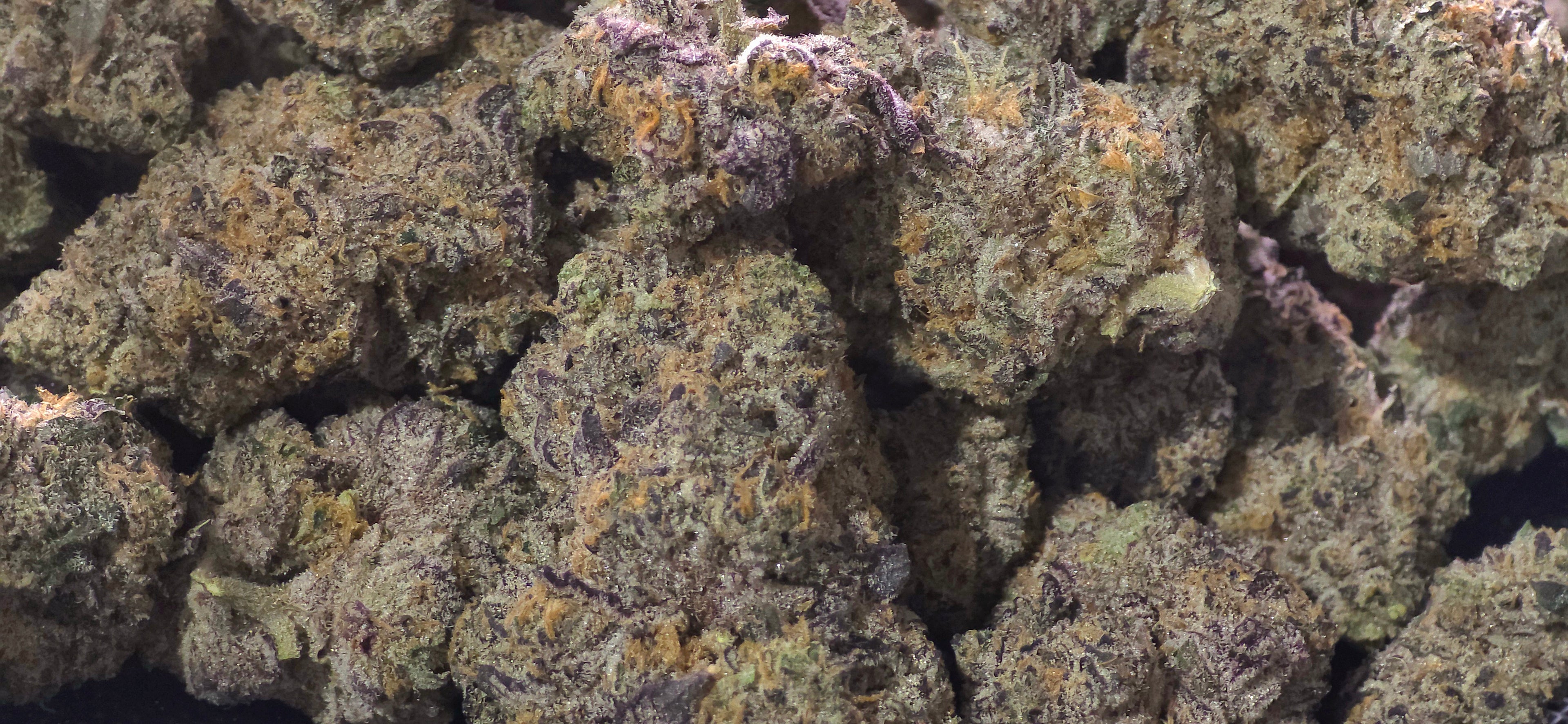 THCa Flower – Indoor Exotic | 14g | 30%+ Purity - $49 - $99