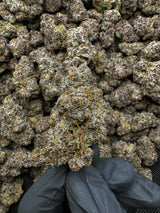 Grape Diesel