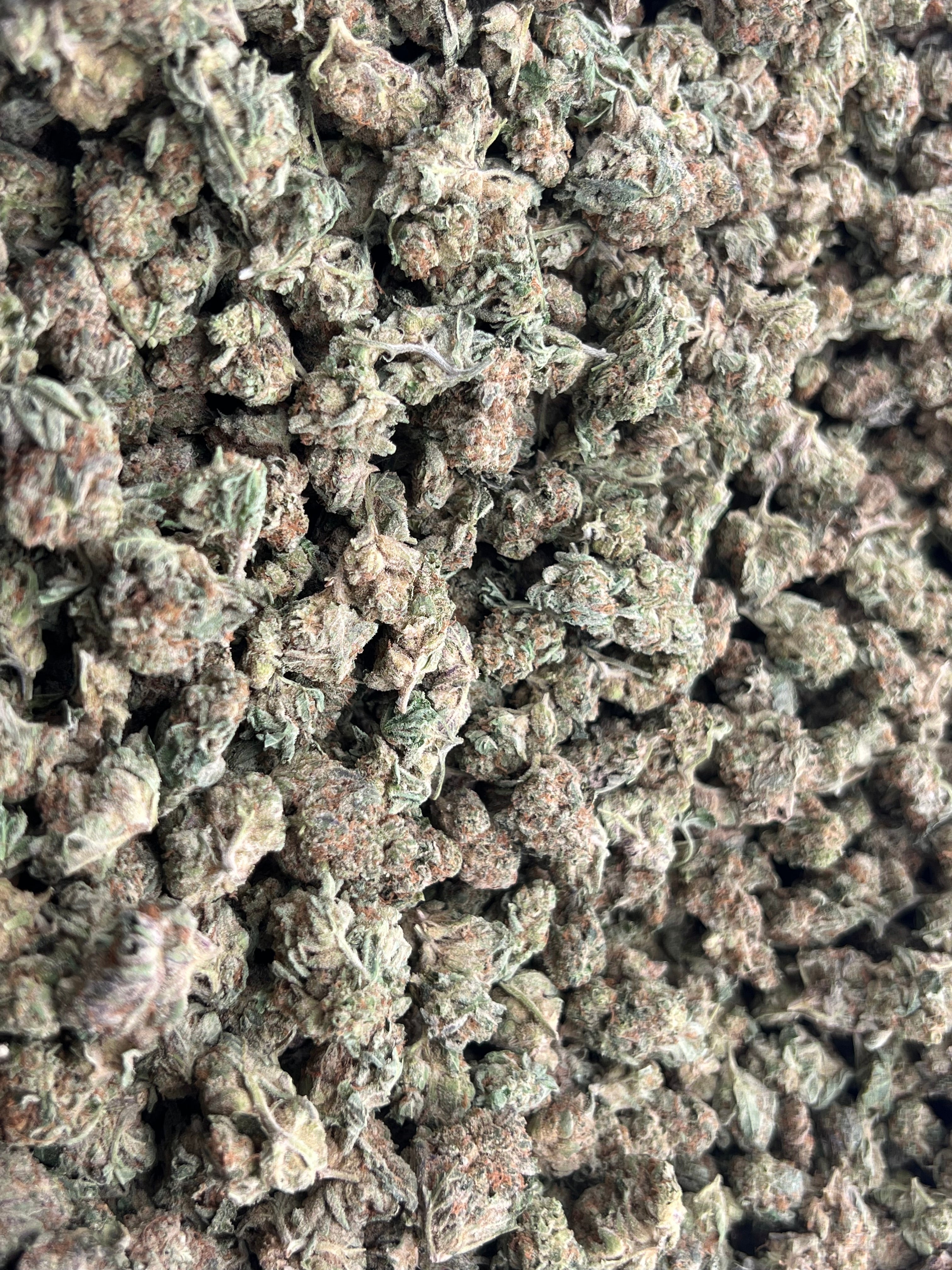 THCa Flower – Indoor Exotic | 14g | 30%+ Purity - $49 - $99