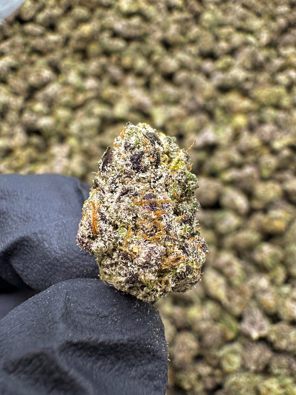 Hash Burger