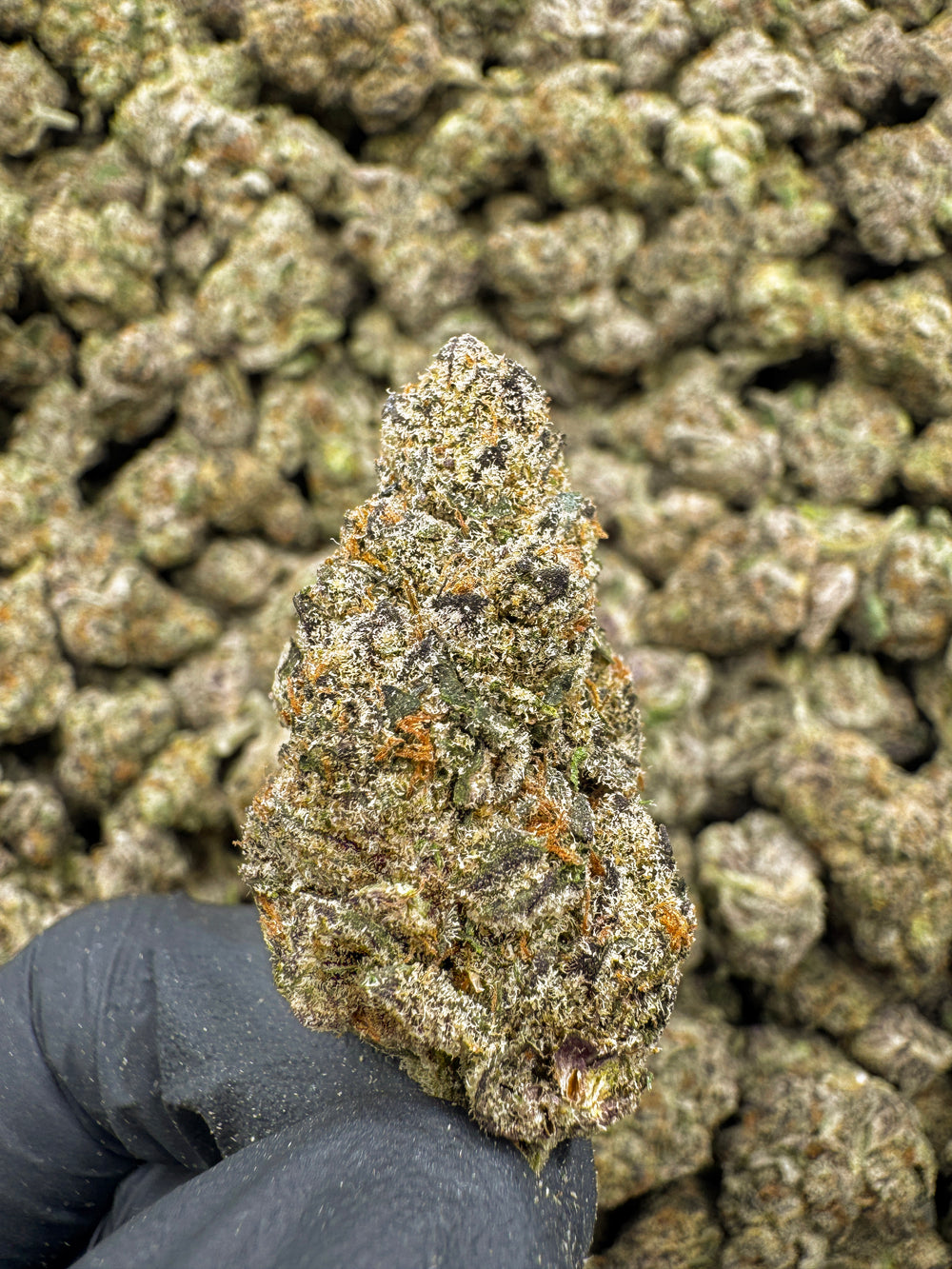 Hashburger