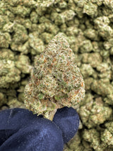 Hawaiian Haze