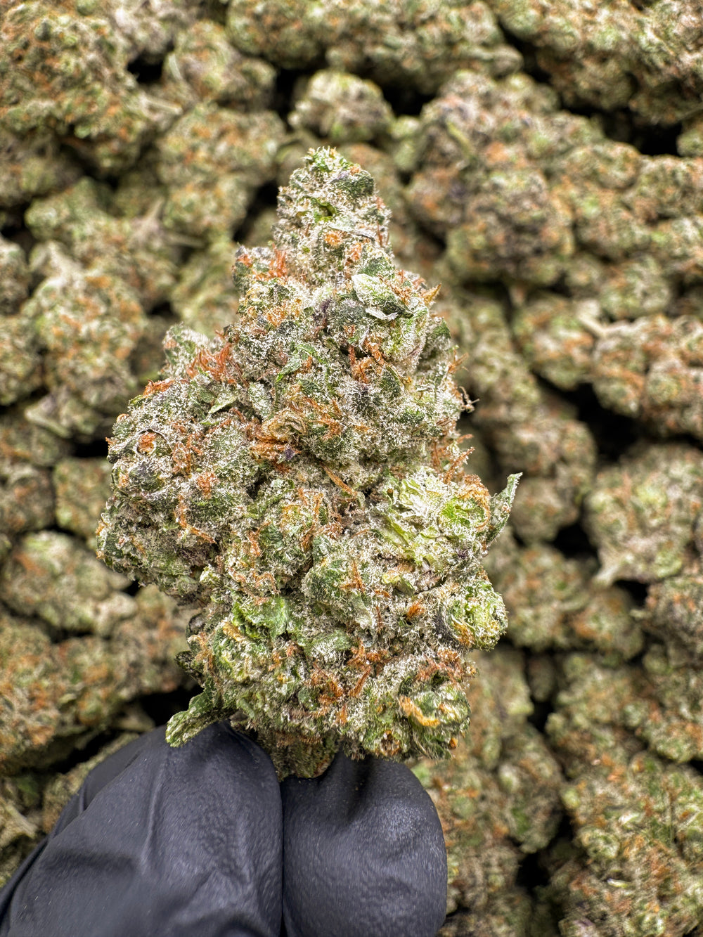 LSD Flower