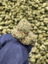 Maui Wowie