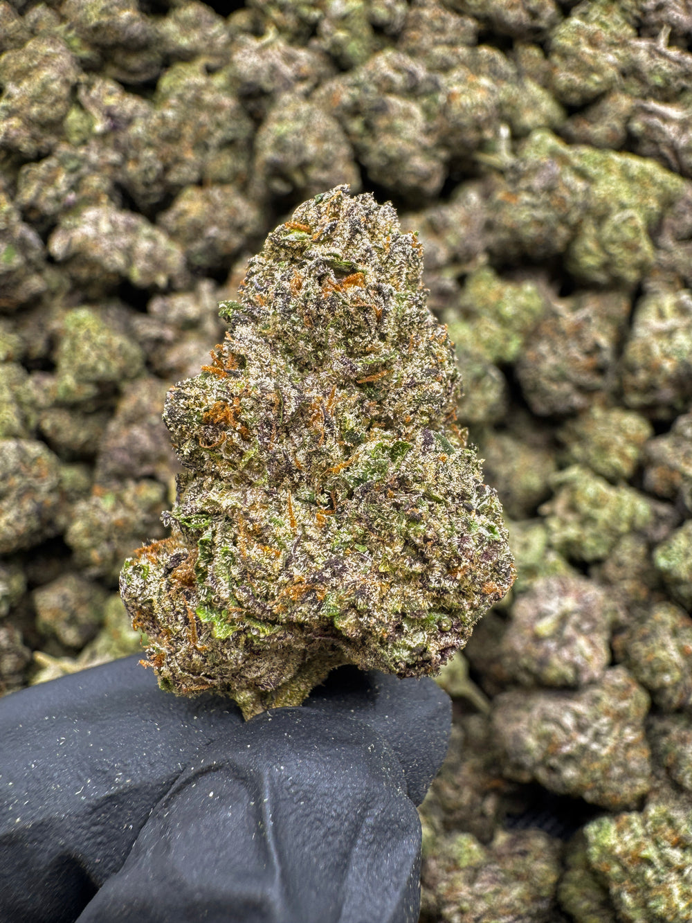 Sour Gas