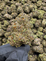 Sour Gas